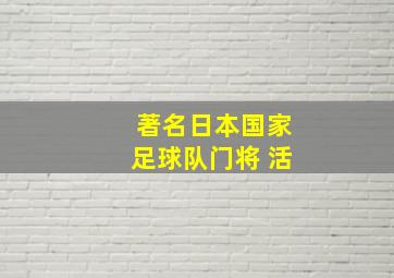 著名日本国家足球队门将 活